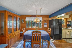 567 Forest Dr, Bailey, CO 80421 - Photo 11