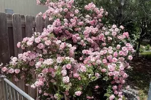 10155 E Fair Cir, Englewood, CO 80111 - Photo 29