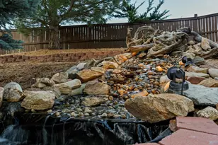 10216 Kleinbrook Way, Highlands Ranch, CO 80126 - Photo 5