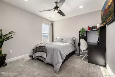 9021 Swan River Street, Littleton, CO 80125 - Photo 19