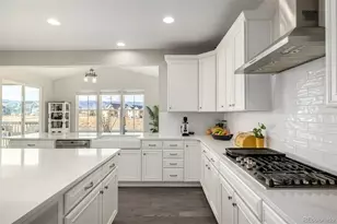 9021 Swan River St, Littleton, CO 80125 - Photo 5