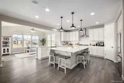 9021 Swan River Street, Littleton, CO 80125 - Photo 5