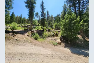 256 Capital Road, Dumont, CO 80436 - Photo 23
