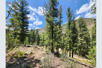 256 Capital Road, Dumont, CO 80436 - Photo 13
