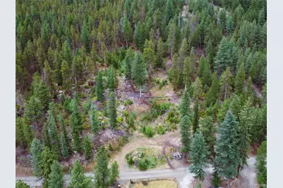 256 Capital Road, Dumont, CO 80436 - Photo 7