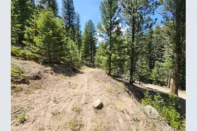256 Capital Road, Dumont, CO 80436 - Photo 21