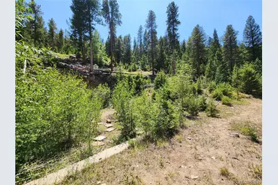 256 Capital Road, Dumont, CO 80436 - Photo 19