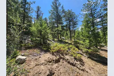 256 Capital Road, Dumont, CO 80436 - Photo 11