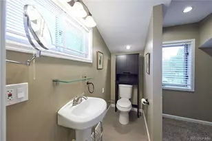 1100 Jersey St, Denver, CO 80220 - Photo 23