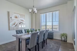 28264 E 8th Pl, Watkins, CO 80137 - Photo 9