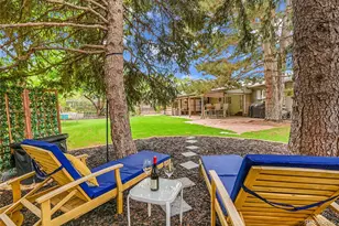 13564 Delphi Dr, Lone Tree, CO 80124 - Photo 9