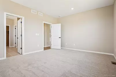 13817 Daffodil Way, Parker, CO 80134 - Photo 17