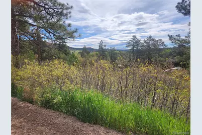 Buena Vista Ave Avenue, Palmer Lake, CO 80133 - Photo 1