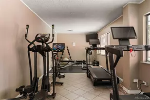 909 N Logan Street, Denver, CO 80203 - Photo 13