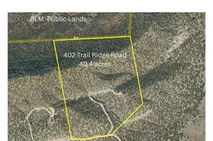 402 Trailridge Rd, Coaldale, CO 81222 - Photo 49