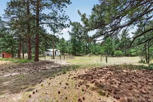 11934 E Buckhorn Way, Franktown, CO 80116 - Photo 29
