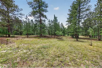 11934 E Buckhorn Way, Franktown, CO 80116 - Photo 31