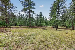 11934 E Buckhorn Way, Franktown, CO 80116 - Photo 31