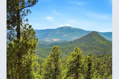475 Holmes Gulch Road, Bailey, CO 80421 - Photo 23