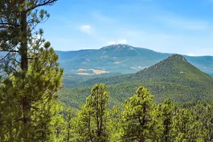 475 Holmes Gulch Rd, Bailey, CO 80421 - Photo 23