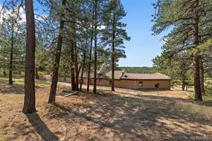 2143 Perry Park Ave, Larkspur, CO 80118 - Photo 49