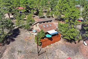 28 Signalman Ln, Lake George, CO 80827 - Photo 3