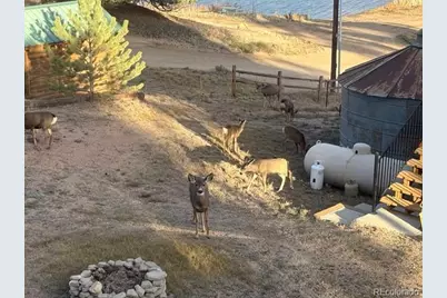 28 Signalman Lane, Lake George, CO 80827 - Photo 45