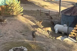 28 Signalman Ln, Lake George, CO 80827 - Photo 45