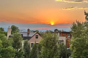 334 Jackson St, Denver, CO 80206 - Photo 35