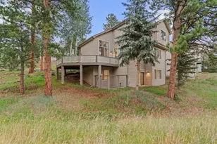 3396 White Bark Pine, Evergreen, CO 80439 - Photo 29
