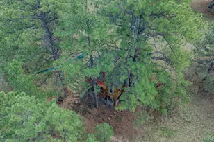 11782 E Basswood Ln, Franktown, CO 80116 - Photo 41