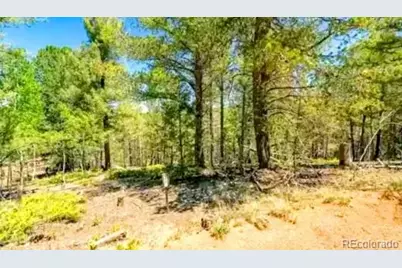 111 Co 67, Cripple Creek, CO 80813 - Photo 3