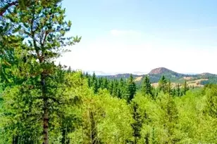 111 CO-67, Cripple Creek, CO 80813 - Photo 1