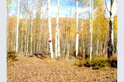 111 Co 67, Cripple Creek, CO 80813 - Photo 5