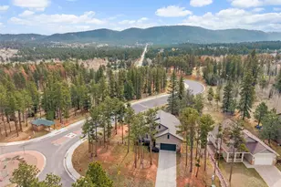 1101 Ptarmigan Dr, Woodland Park, CO 80863 - Photo 43