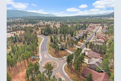 1101 Ptarmigan Drive, Woodland Park, CO 80863 - Photo 45