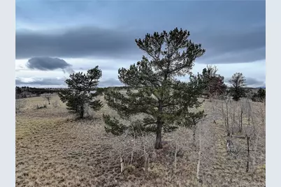 111 Antelope Way, Como, CO 80456 - Photo 23