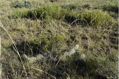 000 Lizard Lane, Gardner, CO 81040 - Photo 3