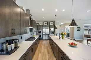 124 Scrubjay Ln, Castle Rock, CO 80104 - Photo 11