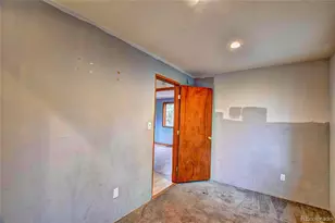 38 Grebe Ln, Como, CO 80456 - Photo 29