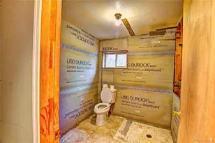 38 Grebe Ln, Como, CO 80456 - Photo 39