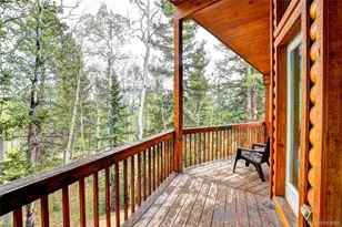 38 Grebe Ln, Como, CO 80456 - Photo 19