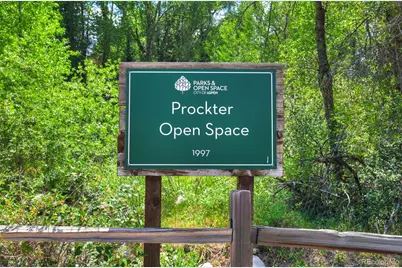 930 Matchless Drive, Aspen, CO 81611 - Photo 41