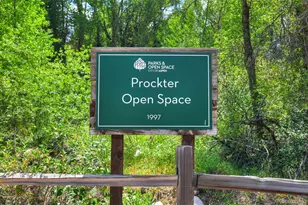 930 Matchless Dr, Aspen, CO 81611 - Photo 41