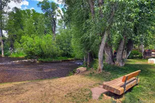 930 Matchless Dr, Aspen, CO 81611 - Photo 43