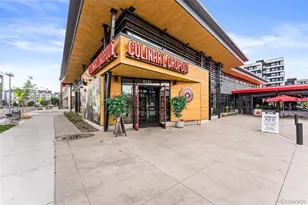 944 Ivanhoe St, Denver, CO 80220 - Photo 47