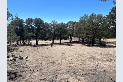 812 Goldmine Ol, Crestone, CO 81131 - Photo 3