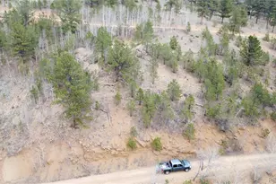 367 Neish St, Bailey, CO 80421 - Photo 1