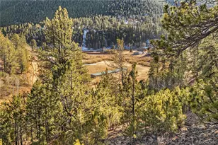 106 Elk Dr, Bailey, CO 80421 - Photo 25