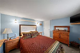 106 Elk Dr, Bailey, CO 80421 - Photo 29